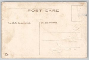 Thanksgiving Greetings Pilgrim With Dead Turkey Postcard K29