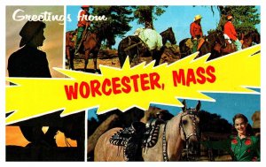 Postcard ANIMAL SCENE Worcester Massachusetts MA AR4123