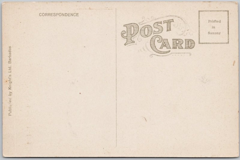 Crane Beach Barbados B.W.I. Lithograph Postcard H76