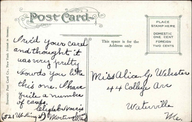 Martinsburg West Virginia WV West Burk Street Scene c1900s-10s Postcard