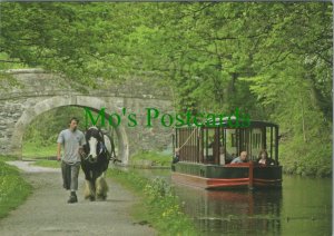 Wales Postcard - Llangollen Canal Horsedrawn Boat   RR14104