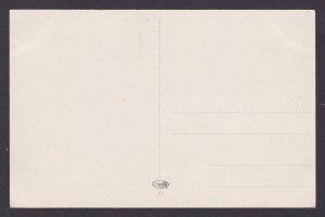 Postcard Hungary, Budapest, Elisabeth-Bridge