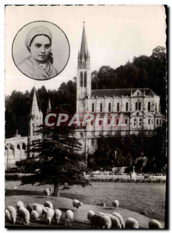 Old Postcard Lourdes H P medallion in the Basilica Saint Bernadette Sheep