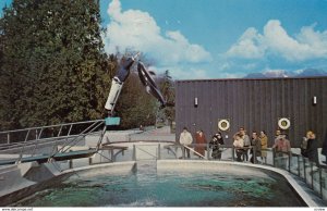 Splasher the Porpoise , VANCOUVER , B.C. , Canada , 50-60s