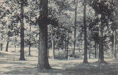 Indiana Chesterfield The Wooded Lawn  Camp Chesterfield Albertype