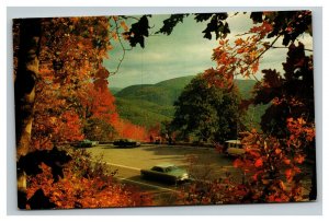 Vintage 1960's Postcard Hemlock Springs Overlook Shenandoah National Park VA