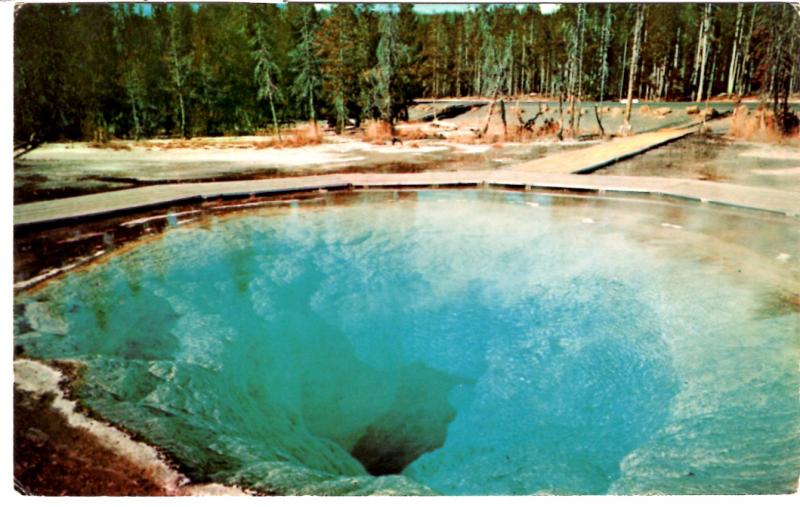 INTL TOURIST, Morning Glory Pool, Yellowstone National Park