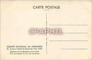 Old Postcard Avenue Franklin D Roosevelt Paris Camel Bactria and its small