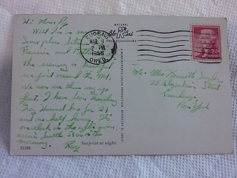 deer postcard posted 1956 Eugene Oregon- suprise at night