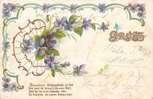 Gruss Greetings Friendship 1901 Violet Flowers Leaves embossed postcard