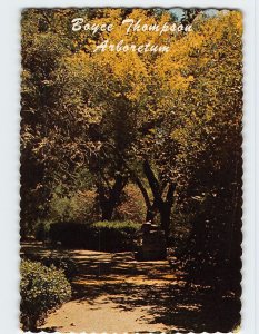 Postcard Boyce Thompson Arboretum, Superior, Arizona