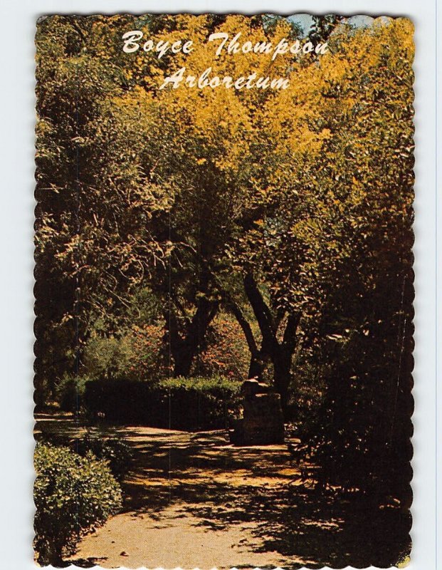 Postcard Boyce Thompson Arboretum, Superior, Arizona