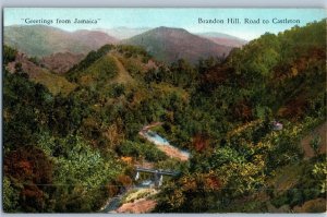 Brandon Hill Road To Castleton Jamaica Postcard