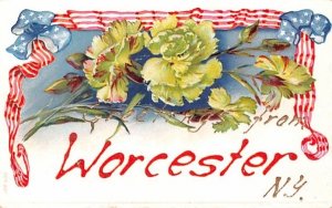 Greetings from Worcester, New York Postcard