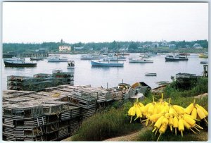 Postcard - The Downeast Fishing Village of Corea, Maine