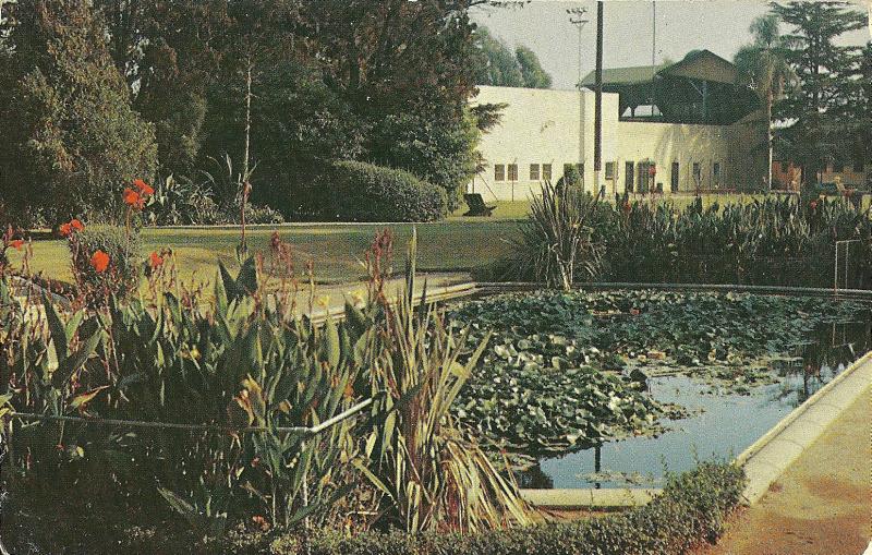 Amerige Park Fullerton California Postcard 