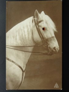 Horse Theme PORTRAIT of HORSE with Glass Eye c1920s Novelty Postcard by J.W.