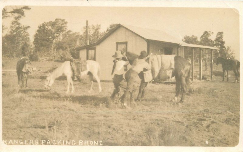 Postcard RPPC C-1910 Texas Rangers horses packing Bronco occupation 23-11456