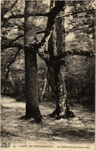 CPA Foret de FONTAINEBLEAU - Le Chene-Charme (autre-vue) (248988)