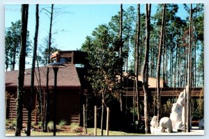 NAPLES, Florida FL ~ Roadside FRANNIE'S TEDDY BEAR MUSEUM  4x6 Postcard