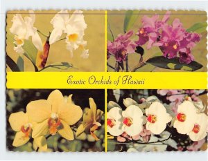 Postcard Exotic Orchids of Hawaii USA