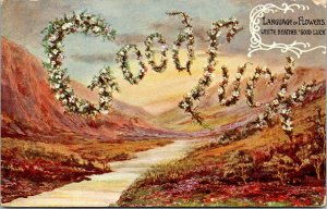 Vtg 1908 Language of Flowers White Heather Good Luck Antique Postcard