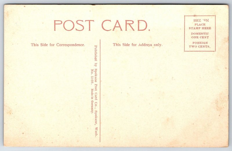 Spokane Washington~Manito Park Owl Castle~Victorians on Path~1908 Postcard