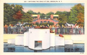 Brooklyn New YOrk 1940s Postcard Watching The Seal at Zoo