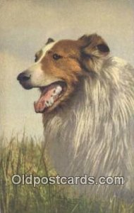 Collie Dog Postal Used Unknown crease with wear left top corner, paper glued ...