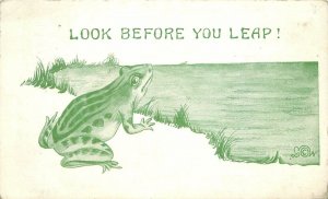 Postcard RPPC C-1910 Frog look before you leap Comic humor Woy 23-3813