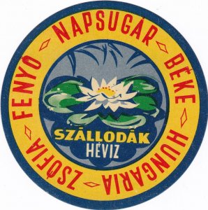 Hungary Heviz Hotel Szallodak Vintage Luggage Label sk3879