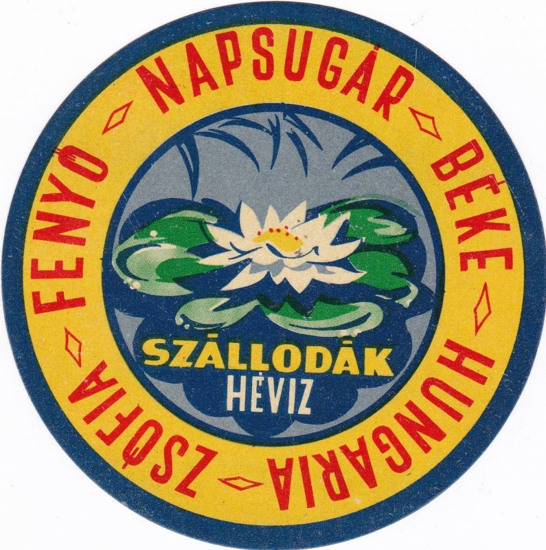 Hungary Heviz Hotel Szallodak Vintage Luggage Label sk3879