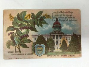 Oregon Grape State Flower Capitol Postcard Salem OR