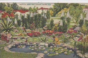 Florida Miami Tropical Pool And Garden