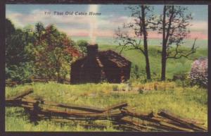 That Old Cabin Home Postcard 