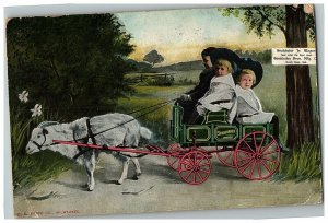 1911 Jr Wagon Bros Studebaker Postcard Advertising South Bend IN Goat Pulling 