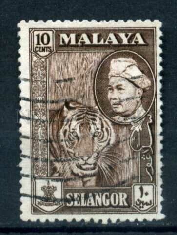 509678 Malaysia Malay state 1957 year Selangor Tiger stamp