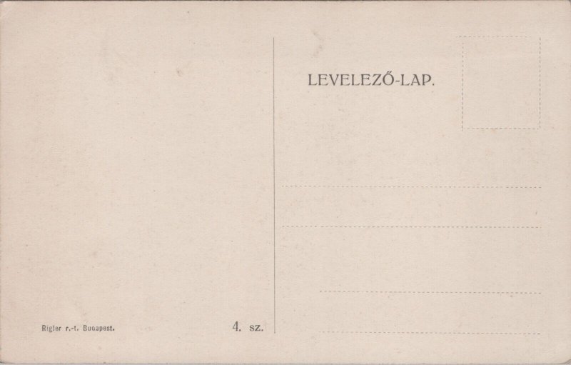 Hungary Budapest Csikos Szobor Vintage Postcard C100