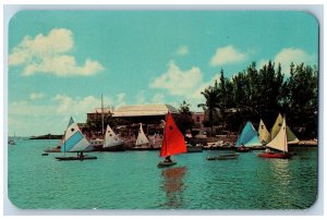 Paget Bermuda Postcard Sunfish Sailboats Show of Gaily Coloured Sails c1960's