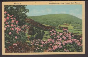 West Virginia State Flower - Rhododendron - LINEN