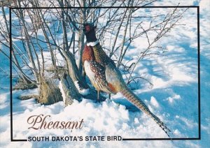 South Dakota State Bird Ring-Necked Pheasant 1991