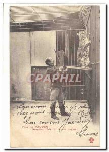 Old Postcard Among Tamer Waltor wild jaguar and TOP (fawn Cirque show)