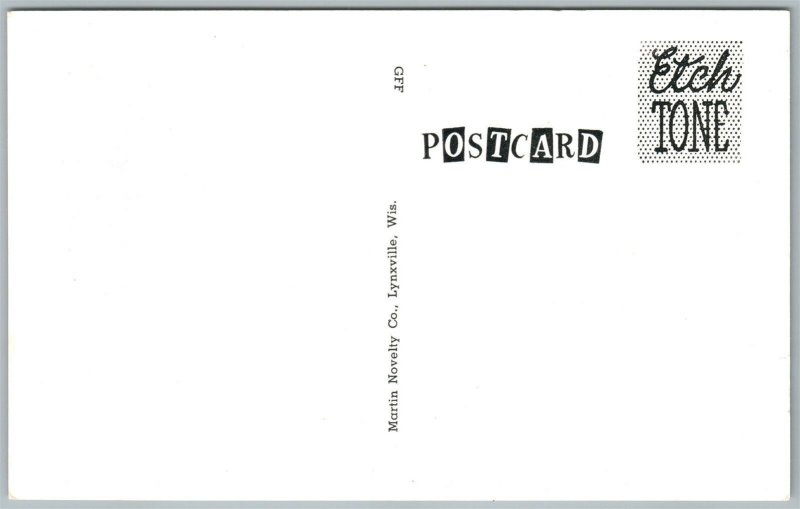 EXAGGERATED DUCK & PHEASANT HUNTING VINTAGE POSTCARD