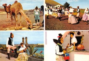 Lot 42 lanzarote camel types folklore spain  costume  romance playing mandolin