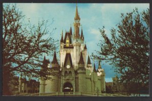 Florida Walt Disney World - Cinderella Castle - Fantasyland ~ Chrome