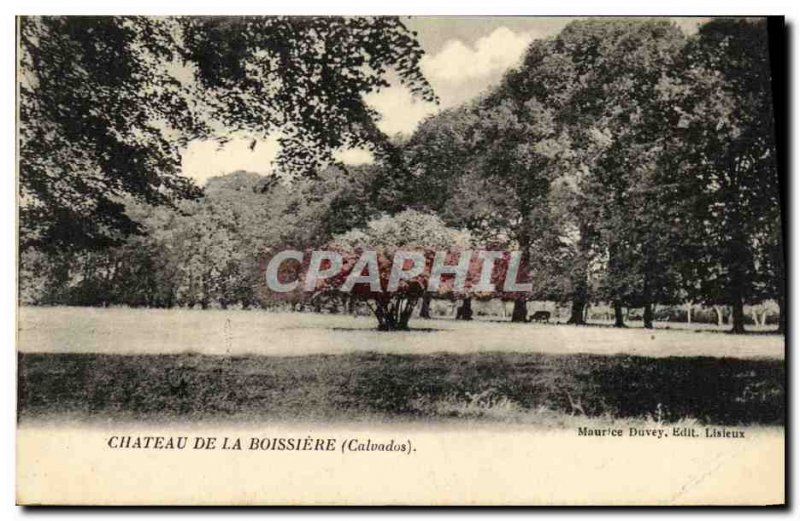 Old Postcard Chateau de la Boissiere