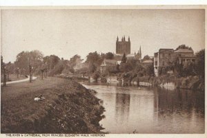 Herefordshire Postcard - River & Cathedral from Princess Elizabeth Walk - 6892A