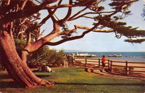 Santa Monica California Beachside Park Street View Vintage Postcard K68671