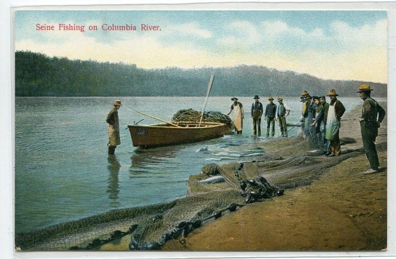 Seine Fishing Columbia River Oregon 1910c postcard