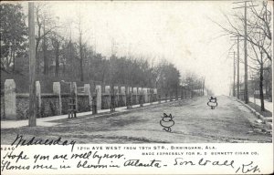 Birmingham AL 12th West From 19th St. c1905 Postcard